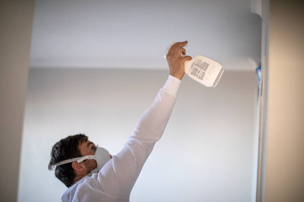 Best Mold Removal and Inspection  in Hawaiian Beaches, HI