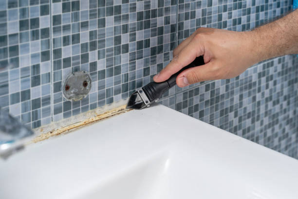 Home Mold Removal in Hawaiian Beaches, HI